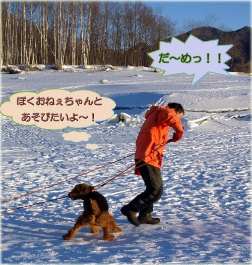 糠平でワカサギ釣り 6回目