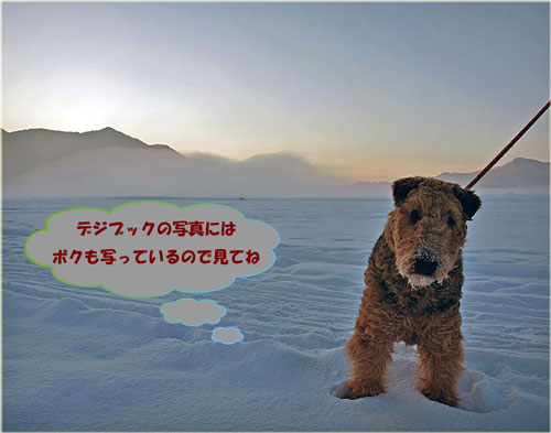 昨日の糠平を他の写真といっしょにデジブックにしました