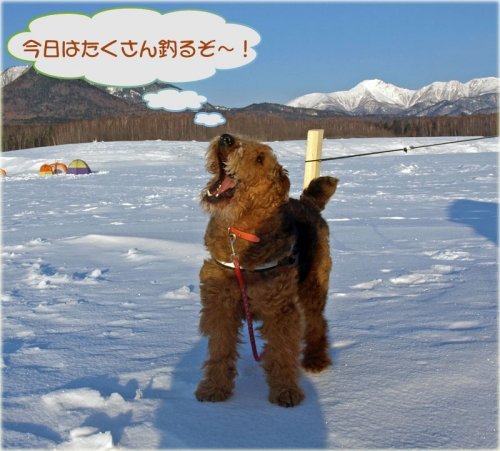 糠平でワカサギ釣り 16回目