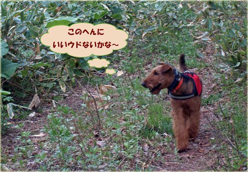 　新緑の山でリフレッシュ