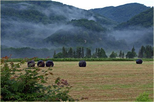 　一昨日の上士幌、三股、そして今朝の夏の風景