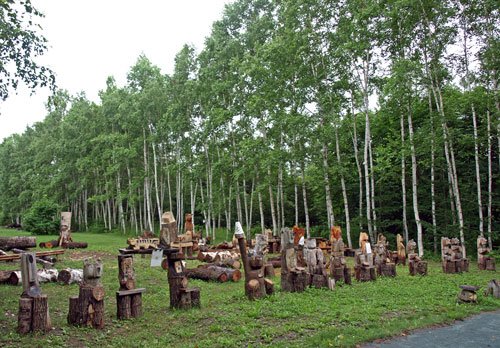 　今朝も帯広の森５０００歩で見た風景