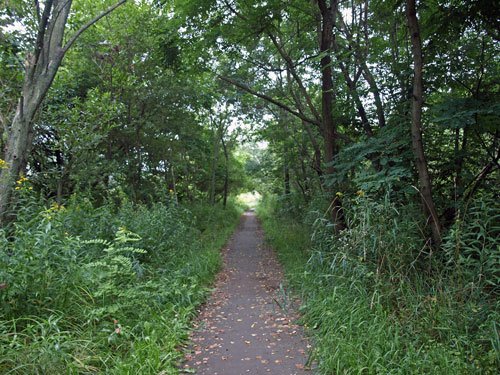 今朝歩いた遊歩道7500歩
