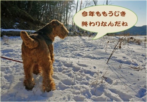 013年最後の数時間に・・