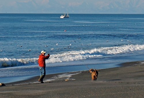 長節の海を走るエルと朝もや