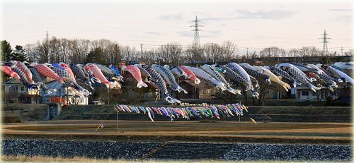 　歴舟川こいのぼり、忠類の展望台、幸福駅