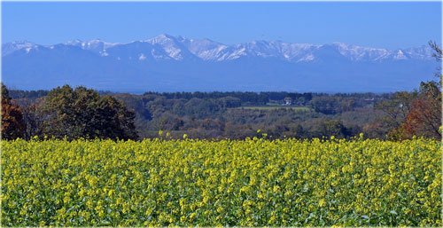ついに白くなった山