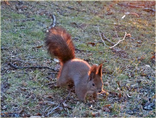 　風が強い時に行くすずらん公園