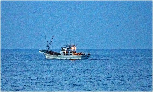 日の出は見られなかった海