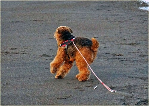 遊んだ海と、おじちゃんありがとう!!