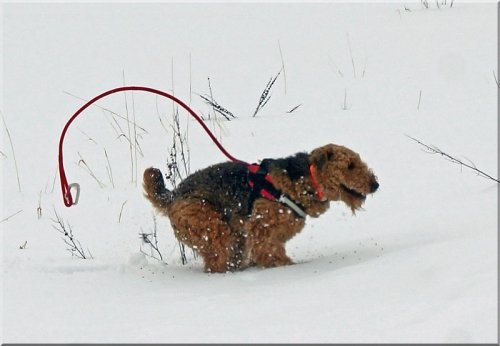 運動は雪原で