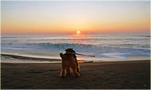 遊んできたのは海と山