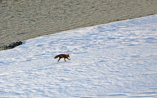今日から約2ヶ月ぶりで運転再開