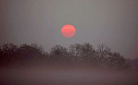シーズン初朝霧とピンクの太陽