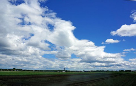 青空が見られるように願いをこめて