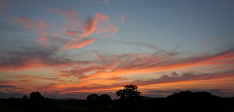 早朝は曇りだったので昨日の夕焼け・・