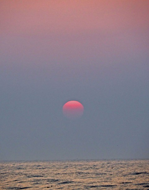 海の日の出はピンクの太陽