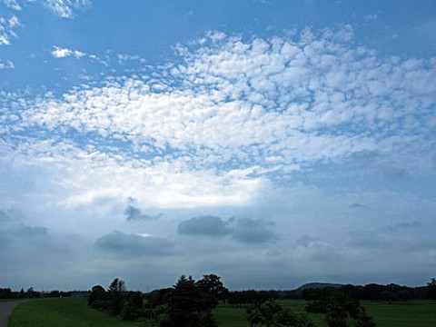 青空と白い雲