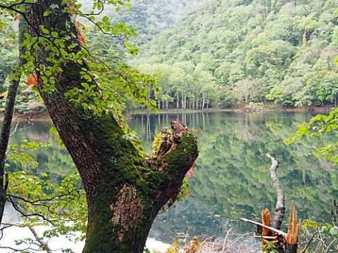 日高でただ一つの自然湖は豊似湖