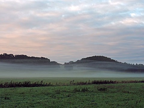 虫類の朝霧風景と今朝は十勝が丘の雲海