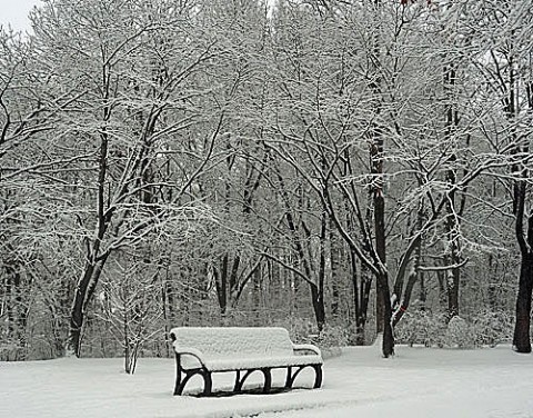 緑ヶ丘の雪景色