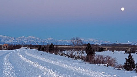 きれいに除雪された堤防遊歩道