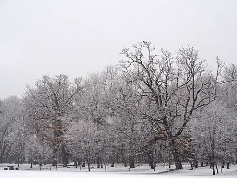 すずらん公園の雪景色