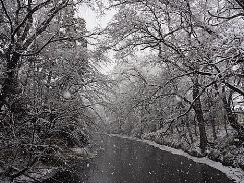 湿った雪は積雪9センチ