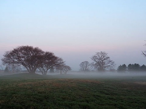 河川敷で初めての朝霧風景