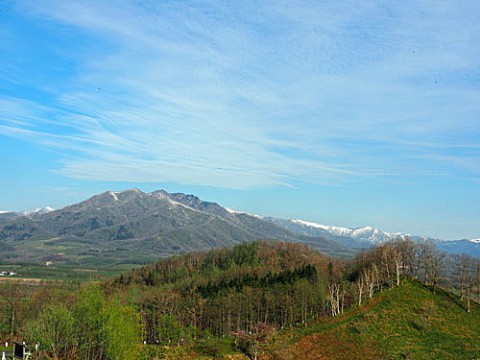 新嵐山展望台からの風景