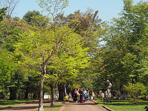 遠足日和、新緑の緑ヶ丘公園