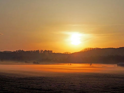 朝陽に染まる畑の朝霧