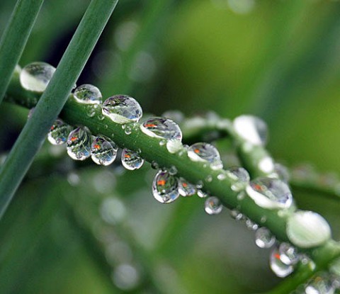 雨の予報で休みに・・