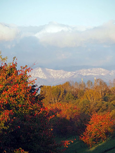 山は白く紅葉進む