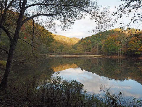 池の映り込みと終わりかけの紅葉