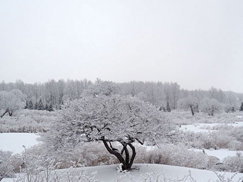 降雪量が少なくて良かった!