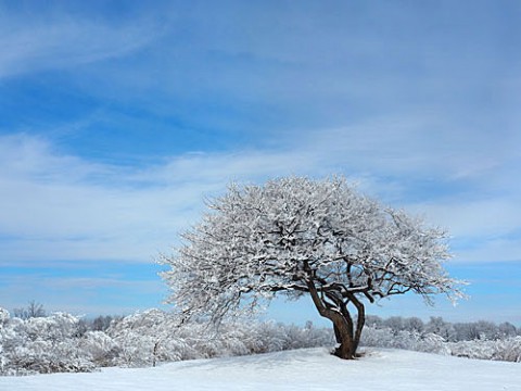 雪景色は青空に映える