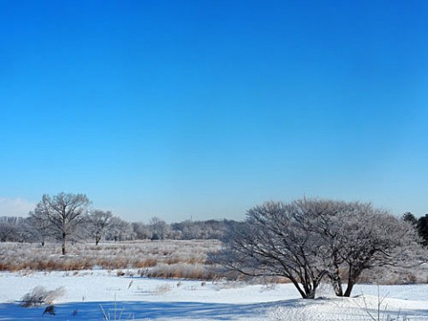 元ゴルフ場の霧氷風景