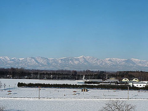 帯広の森展望台から