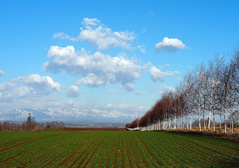 幕別、春の風景