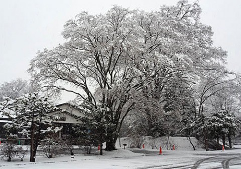 水公園と東の雪景色