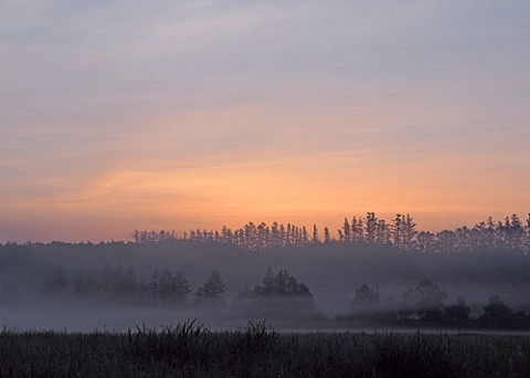 幕別を走行中の朝霧風景