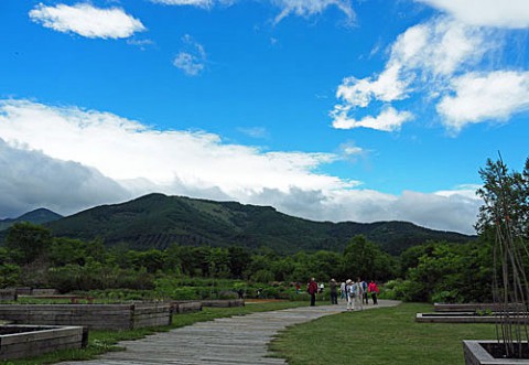 十勝千年の森は快晴