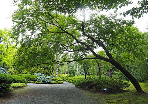 真鍋庭園を散策