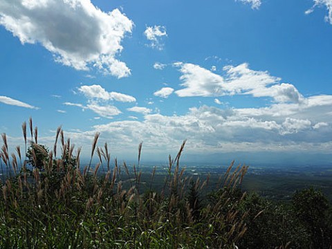 扇が原展望台