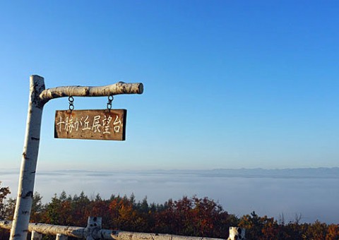 十勝が丘から雲海と白鳥撮影