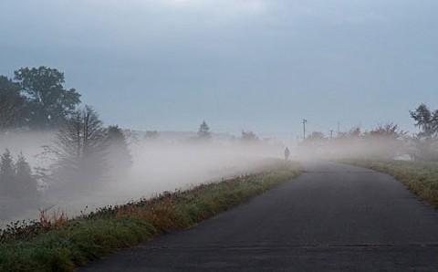 朝霧の朝の散歩