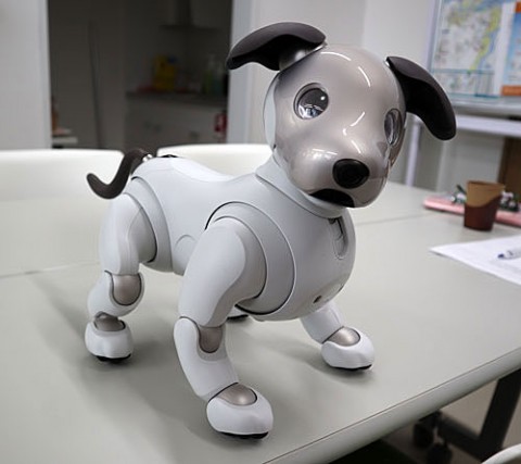 犬型ロボット(アイボ)