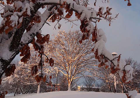 去年の今頃は雪の山だった