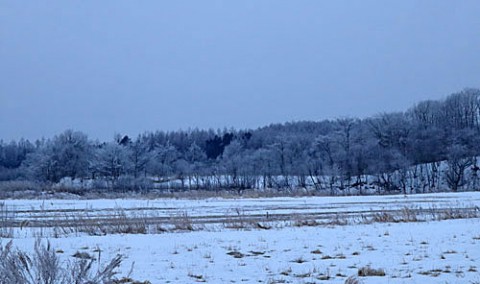 最後の霧氷風景になるか?